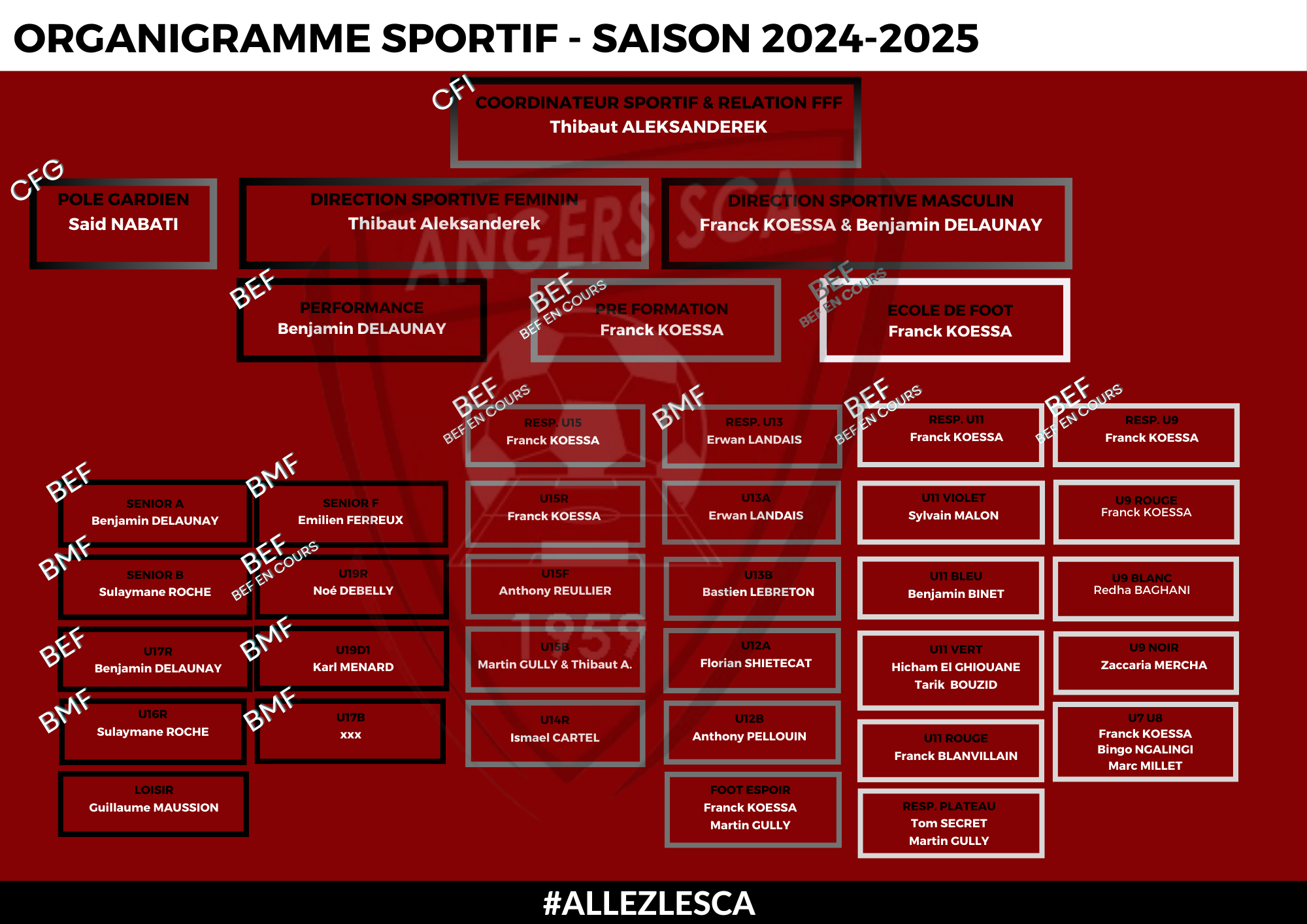 Organigramme administratif Angers SCA